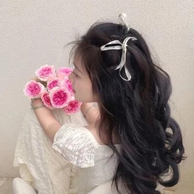 乘龙怪婿第一季